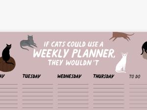Weekplanner Kat