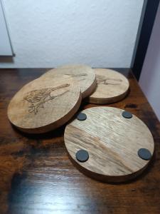 Set onderzetters - vogelillustratie