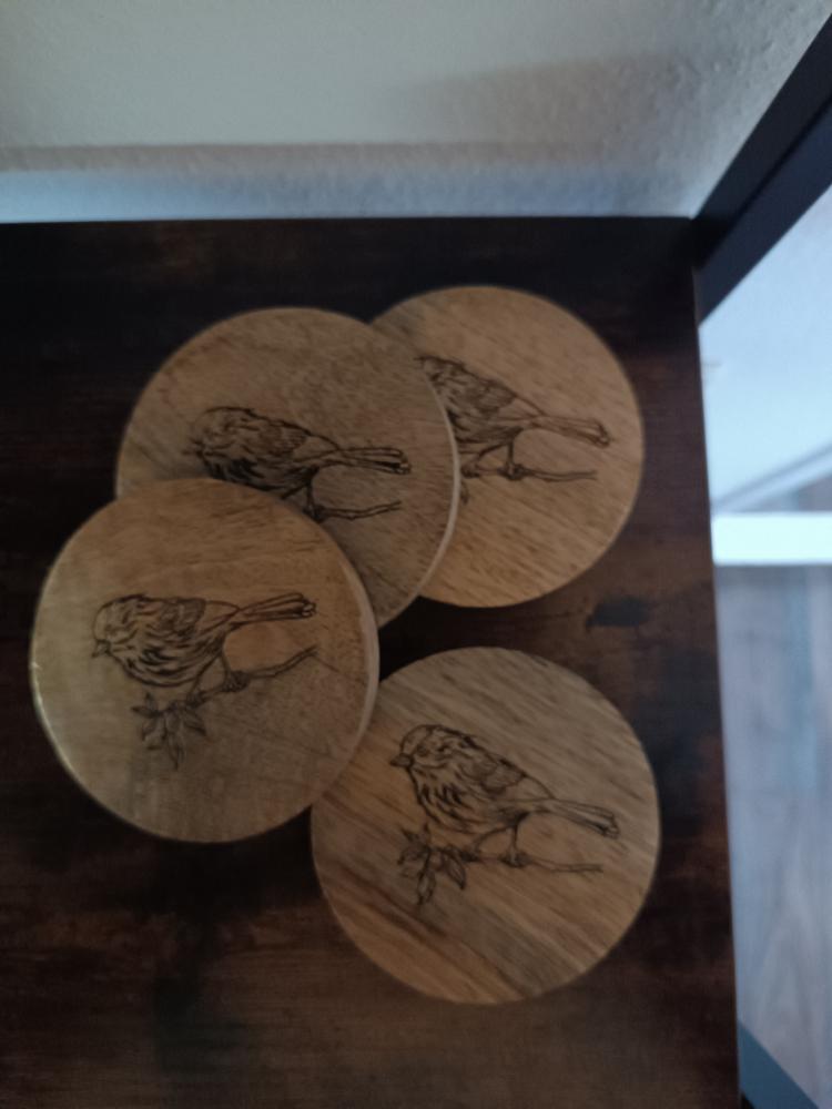 Set onderzetters - vogelillustratie