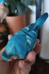 Decoratief vogeltje: blauw meesje