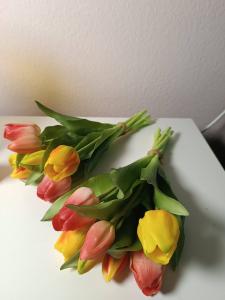 Tulpen roze/oranje/geel