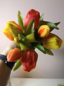 Tulpen roze/oranje/geel