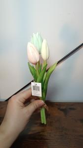 Tulpen  klein