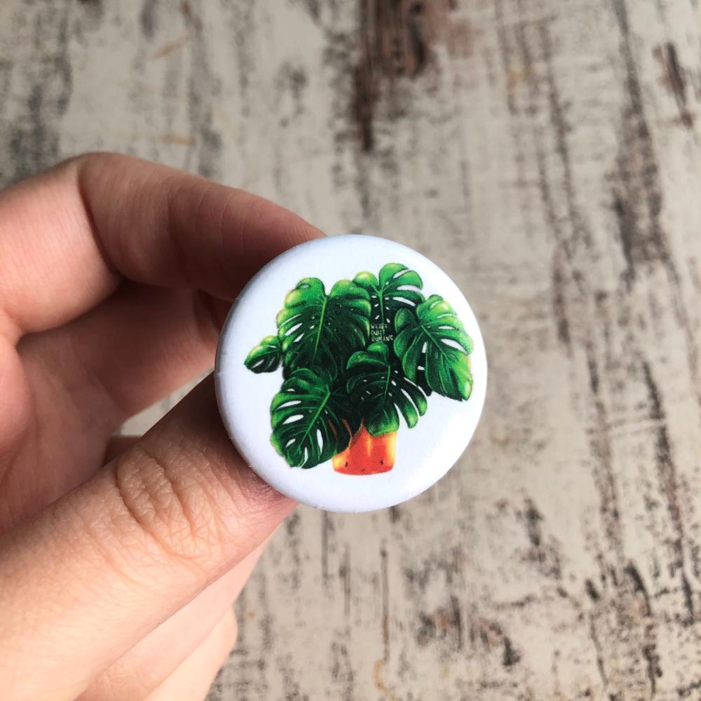 Monstera button/spelt
