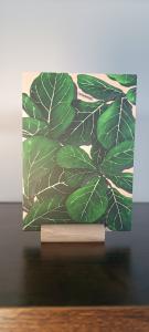 Ansichtkaart/A6 Print - Ficus