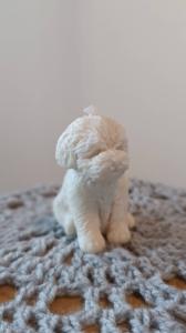 Kaars hondje