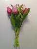 Tulpen roze mix